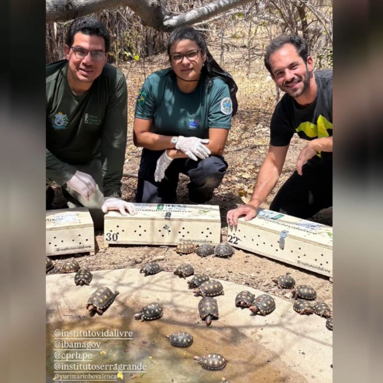 Foto: Reprodução/Instagram