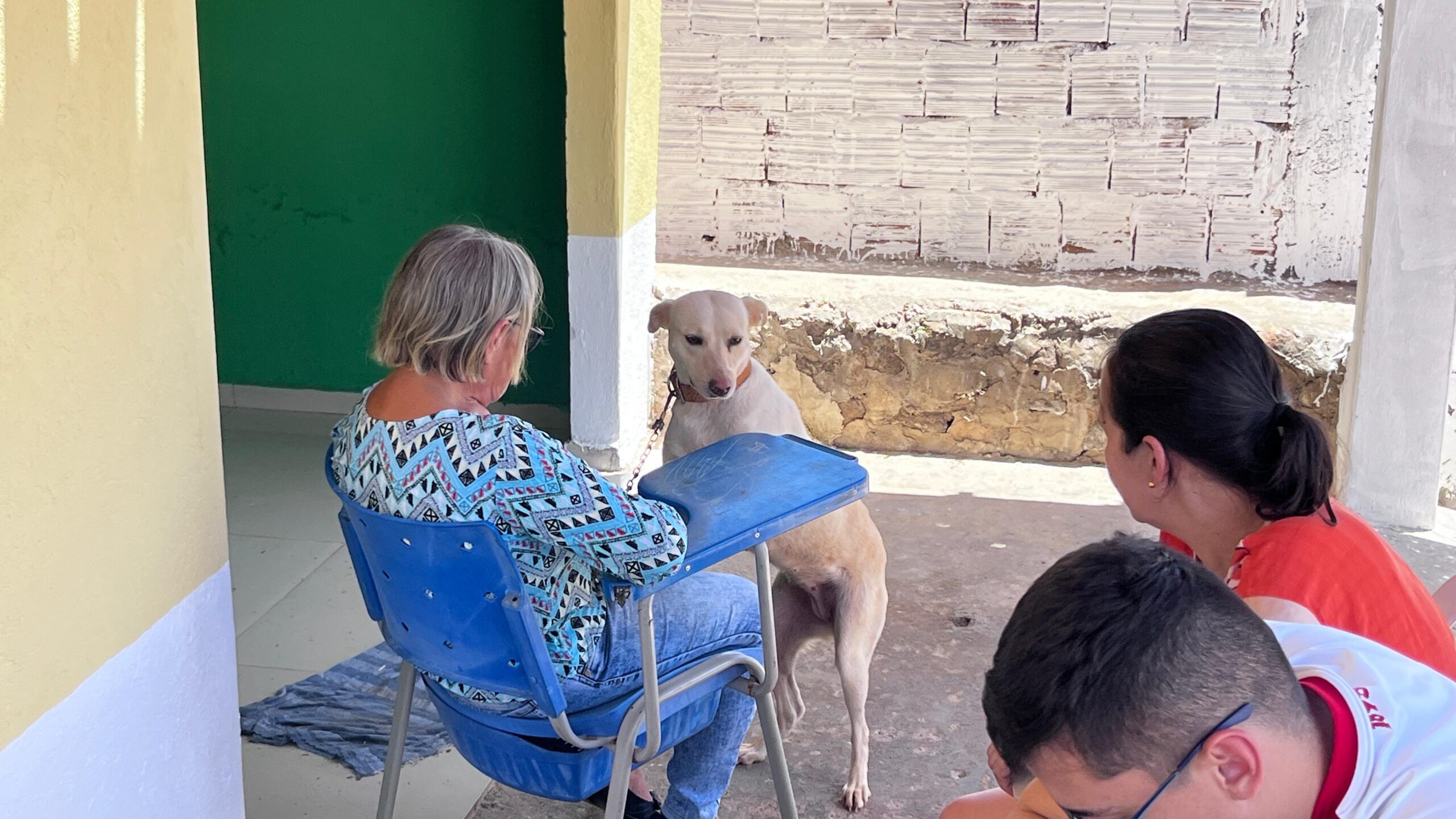 Santa Cruz realiza 2º Mutirão de Castração de Cães de Rua - Fotos: Divulgação