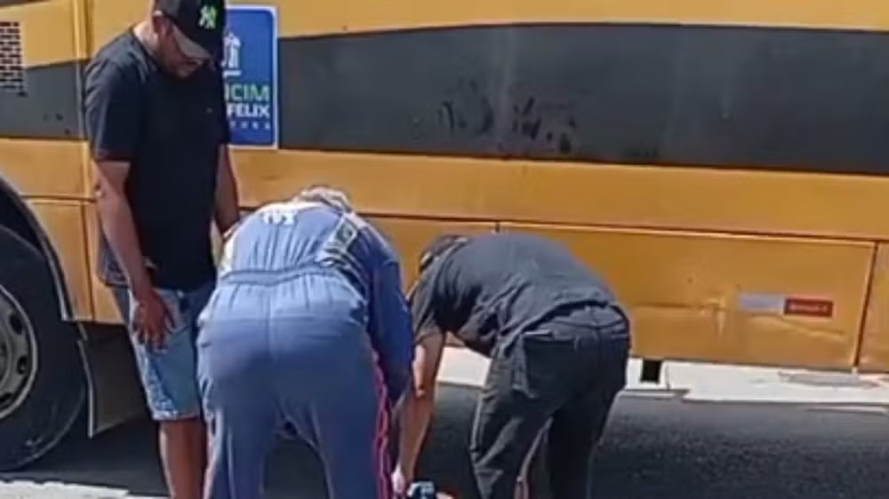 Idoso de 81 anos morre após ser atropelado por ônibus escolar - Foto: Reprodução