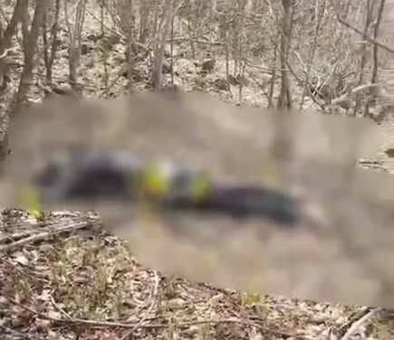 Polícia investiga 16º homicídio em ST diz que vítima havia saído da cadeia 1 polícia investiga