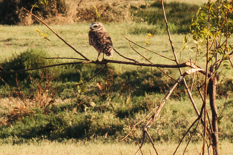 Imagens poéticas da fotojornalista do Farol evocam a saudade de casa 1 imagens poéticas