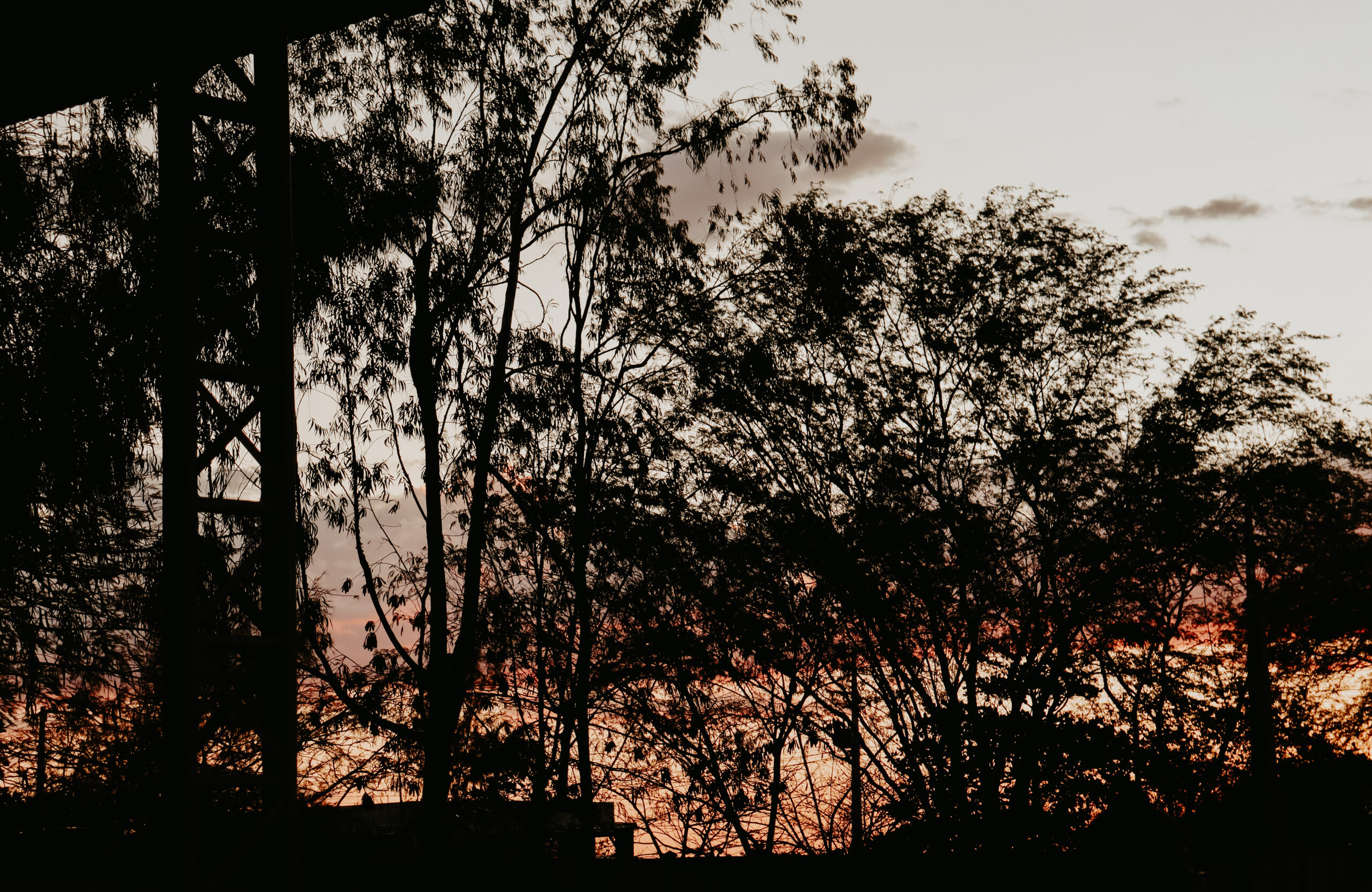Imagens poéticas da fotojornalista do Farol evocam a saudade de casa