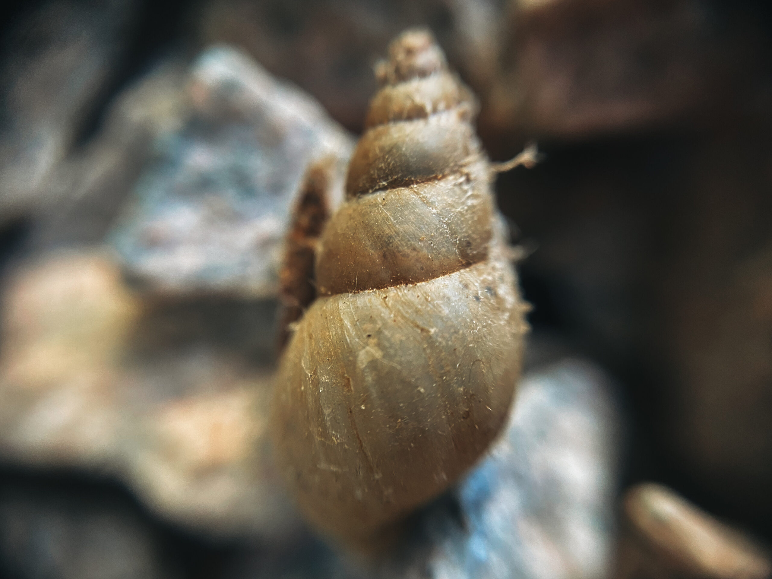Imagens poéticas da fotojornalista do Farol evocam a saudade de casa