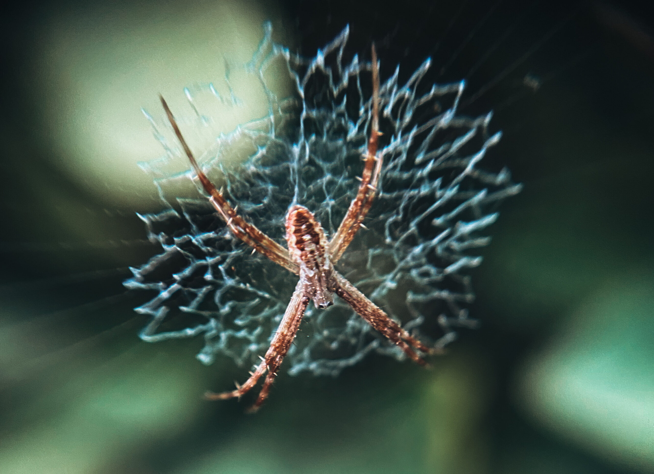 Imagens poéticas da fotojornalista do Farol evocam a saudade de casa