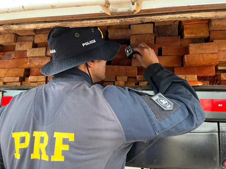 Serra Talhada entra na rota da madeira ilegal e PRF dá combate