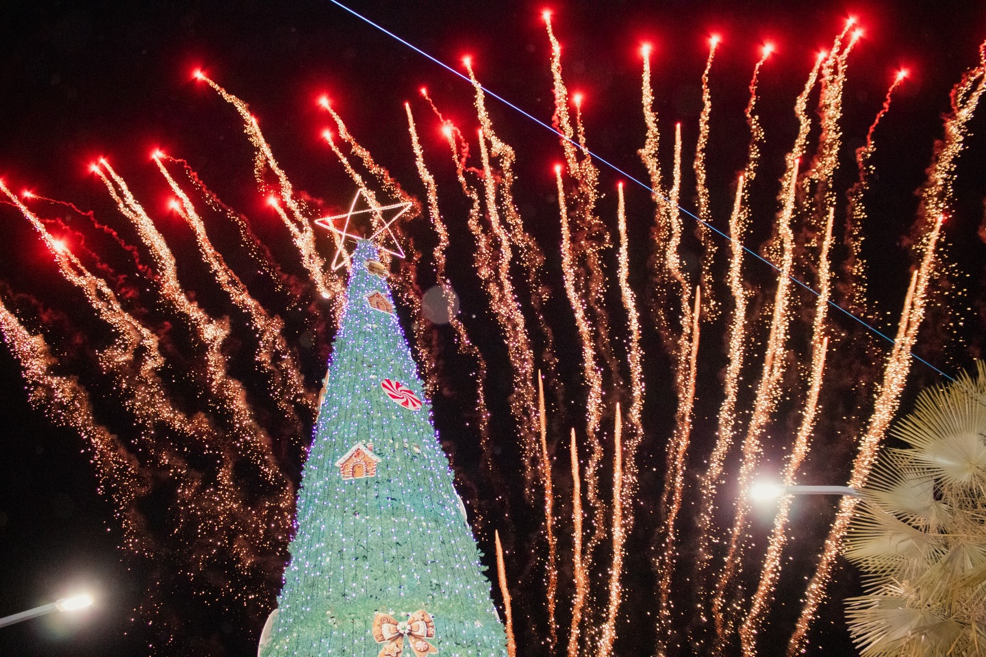 Márcia diz que o 'tempo parou' e diz que ST vive seu melhor momento