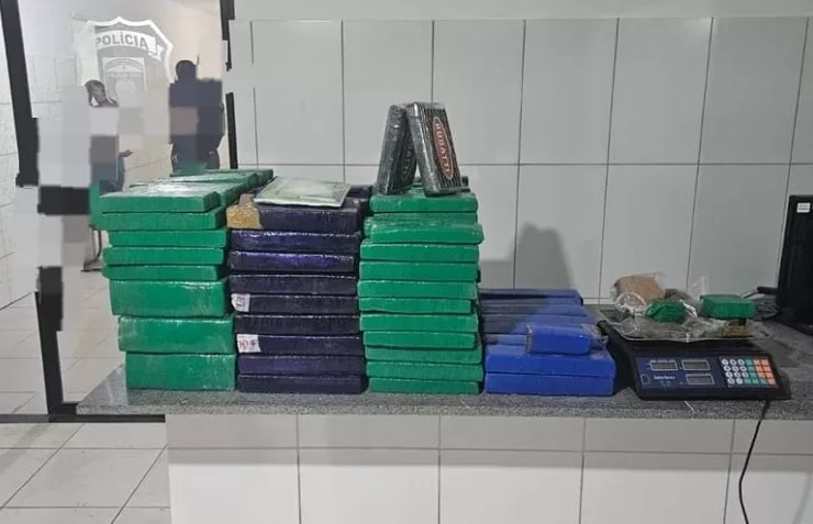 Polícia apreende mais de 165 kg de drogas em Caruaru - Foto: Divulgação