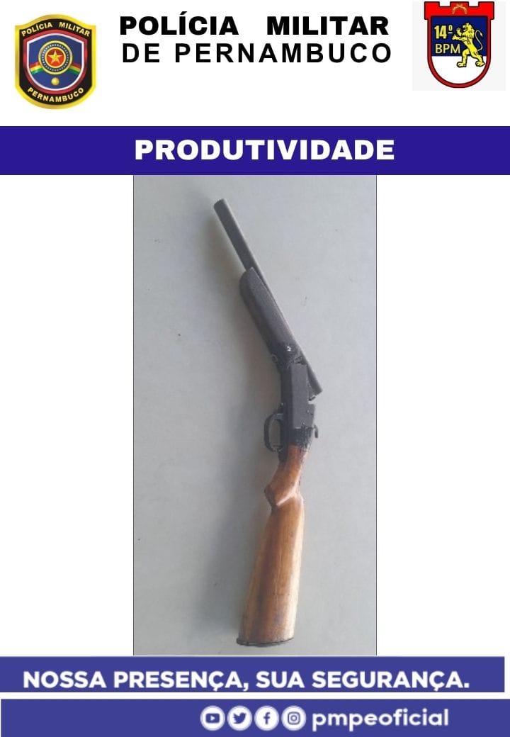 Operação em Serra Talhada localiza 49 aves em cativeiro e espingarda 12 1 Operação em Serra Talhada localiza 49 aves em cativeiro e espingarda 12