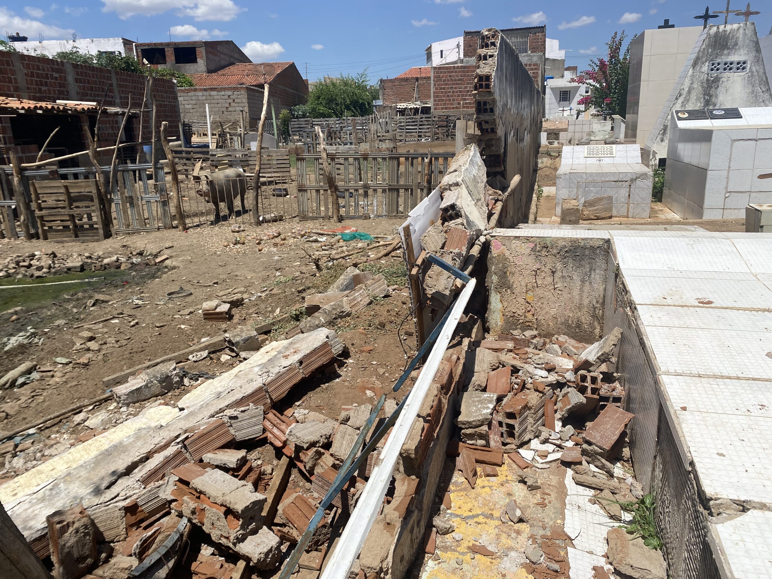 Cemitério de Serra Talhada continua sem cuidados e secretários silenciam 1 Fotos: Licca Lima/farol de Notícias