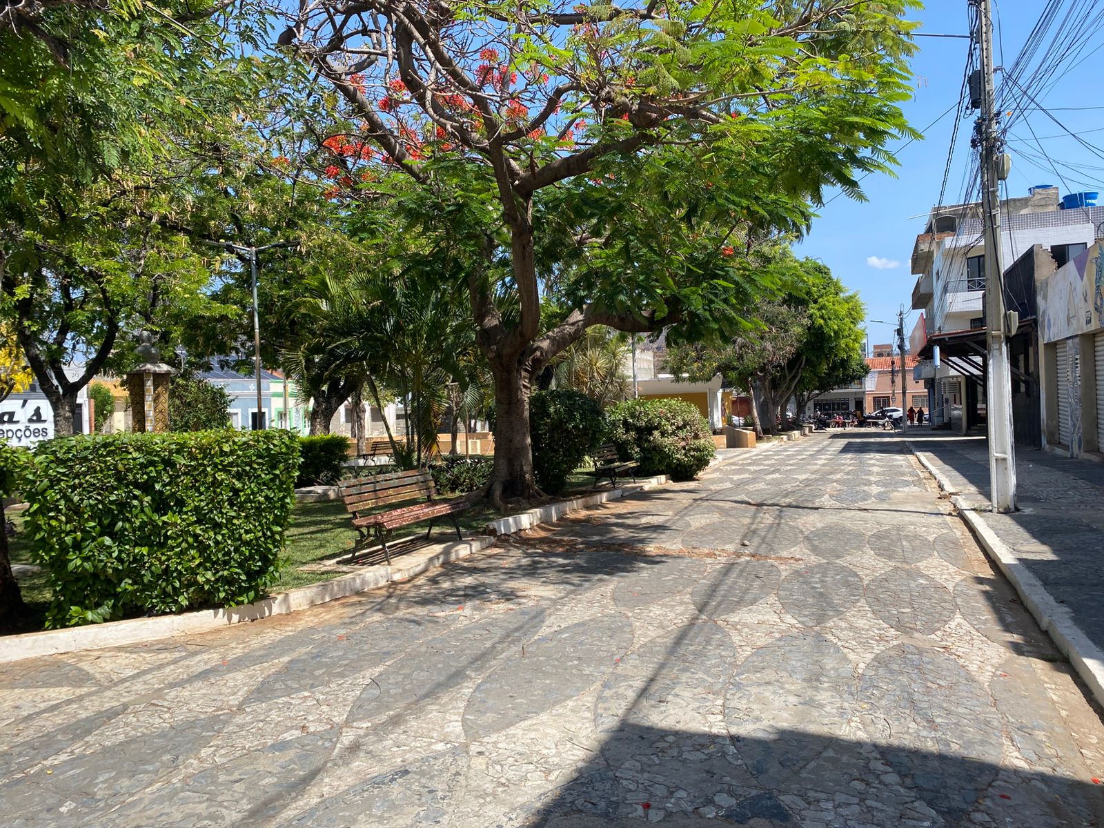 Concha Acústica fica sem iluminação natalina e revolta moradores de ST