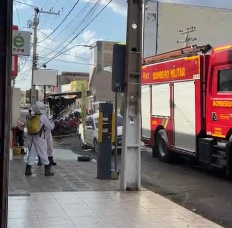 Ataque de vespas agita o centro de Serra Talhada nessa 3ª