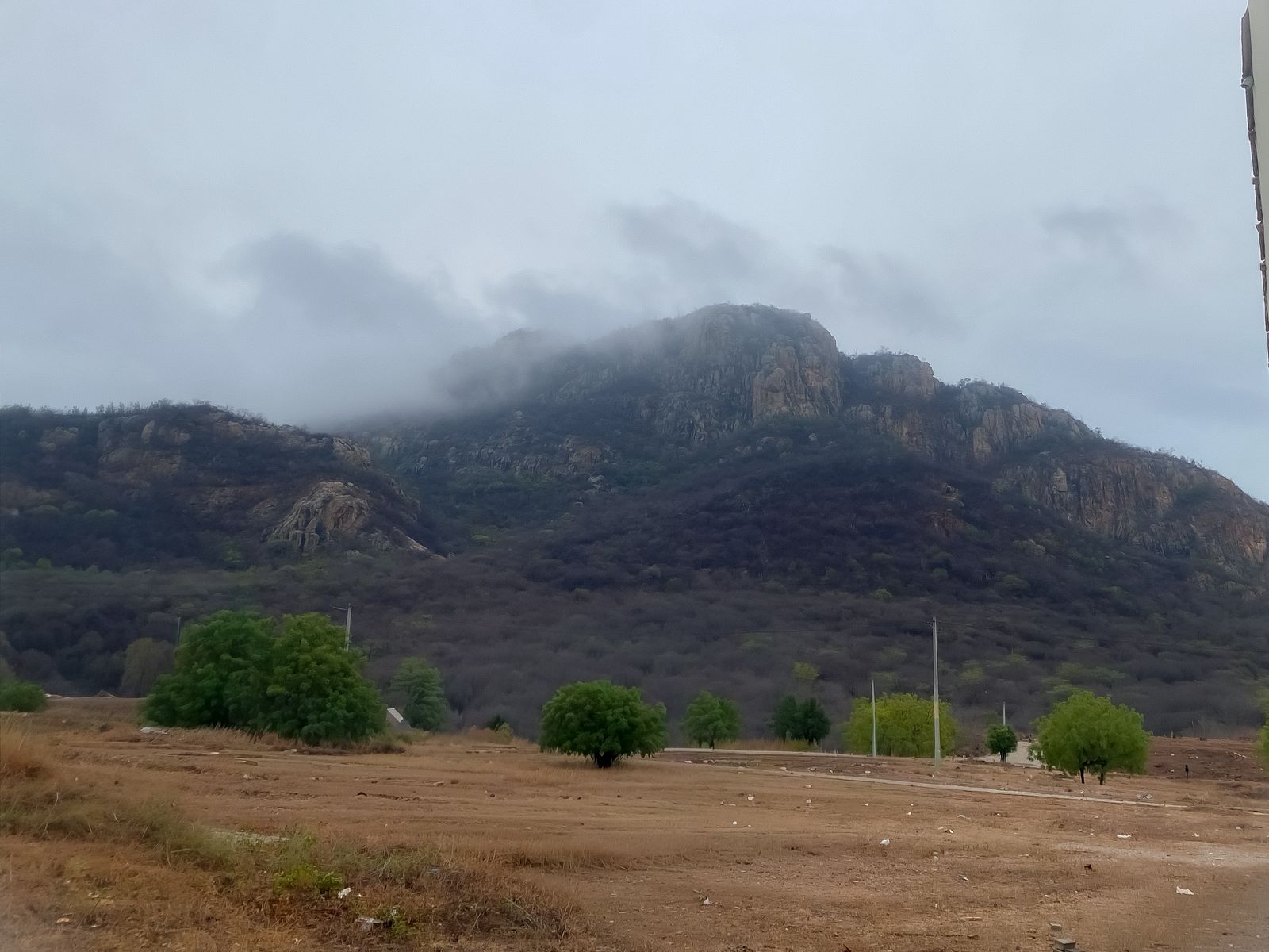 Foto: Licca Lima/Farol de Notícias