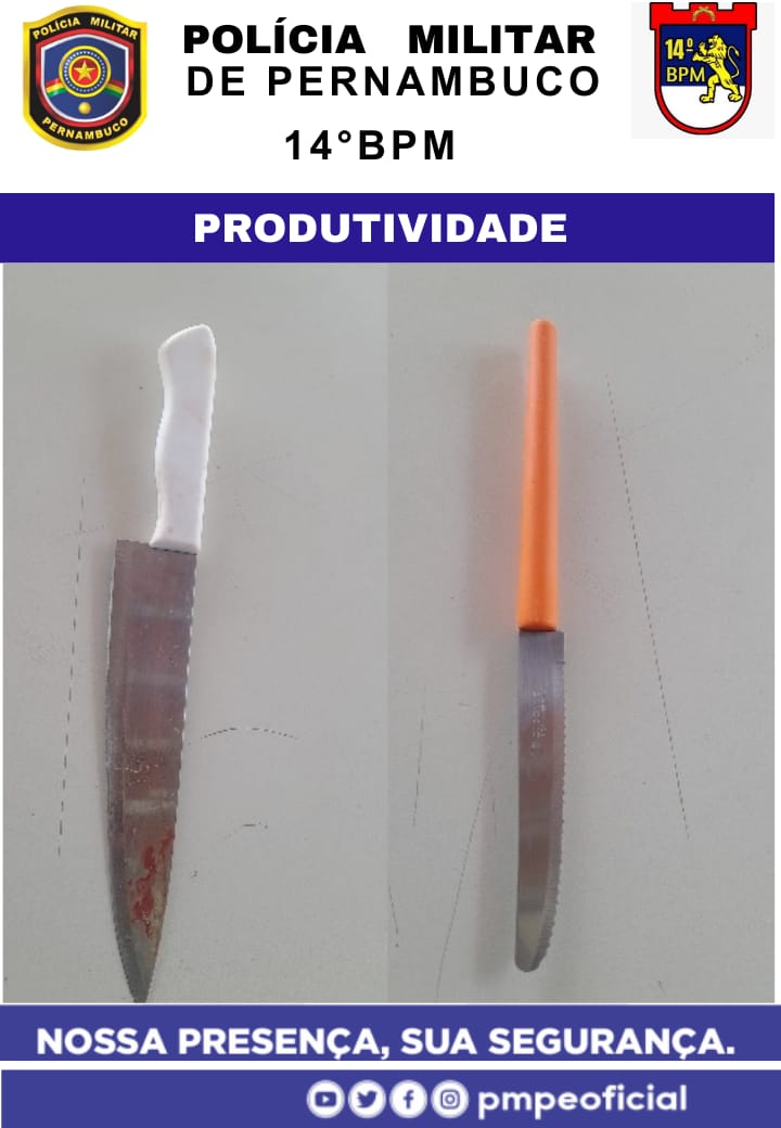 Briga generalizada acaba com cão sofrendo golpe de faca em ST