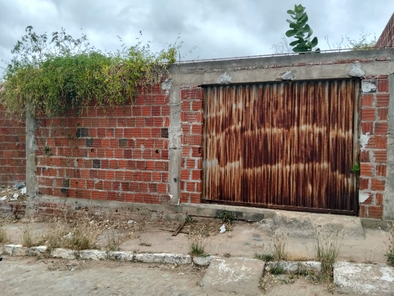 Desesperada, mãe diz querer entrar em casa abandonada do Vila Bela 1 Desesperada, mãe diz querer entrar em casa abandonada do Vila Bela
