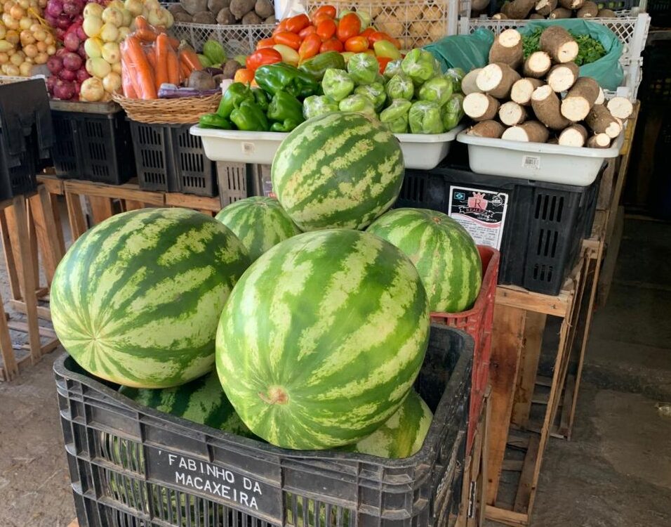 Feirantes de ST comentam sobre preços e variedades das frutas de verão 6 Feirantes de ST comentam sobre preços e variedades das frutas de verão