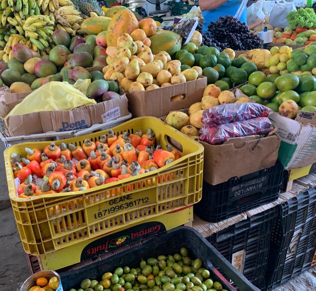 Feirantes de ST comentam sobre preços e variedades das frutas de verão 2 Feirantes de ST comentam sobre preços e variedades das frutas de verão