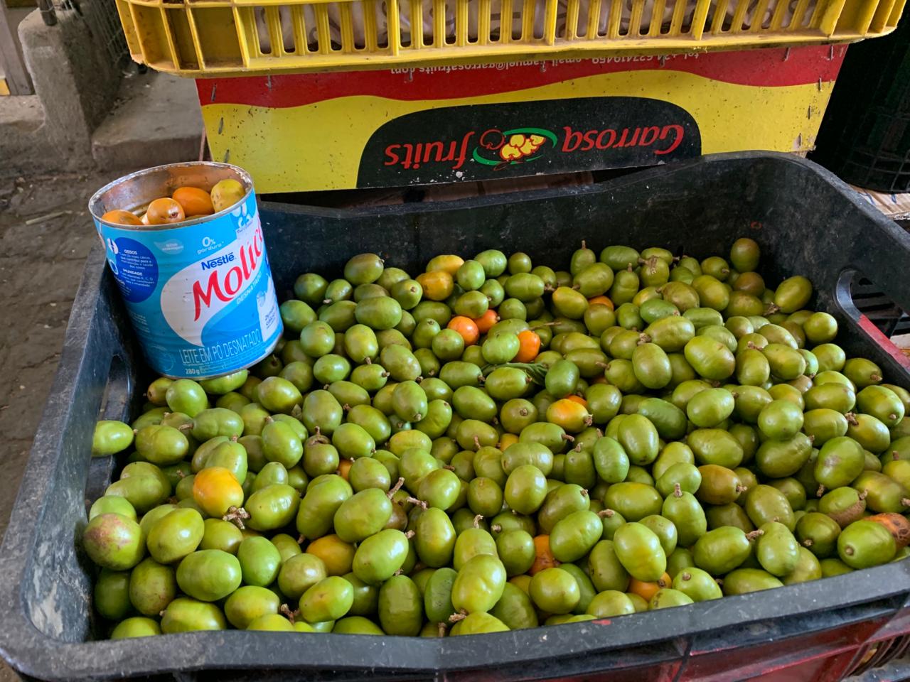 Feirantes de ST comentam sobre preços e variedades das frutas de verão 3 Feirantes de ST comentam sobre preços e variedades das frutas de verão
