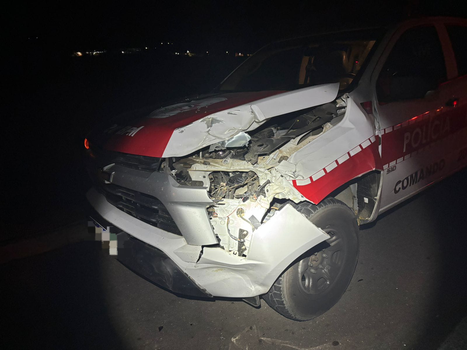 Viatura da Paraíba colide contra animal na BR-232 em Serra Talhada 1 Viatura da Paraíba colide contra animal na BR-232 em Serra Talhada