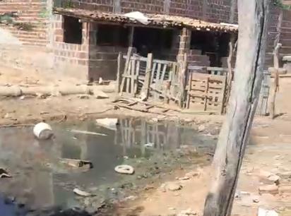 Cemitério de Serra Talhada é invadido por porcos e revolta família