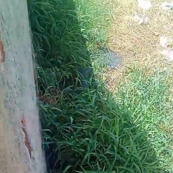 Esgoto causa transtornos e moradores cobram da Prefeitura de ST