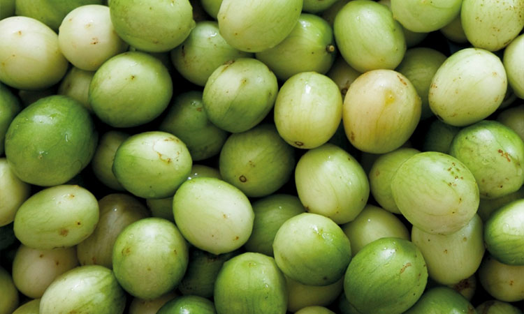 Criança morre após se engasgar com umbu 1 Criança morre após se engasgar com umbu no Sertão