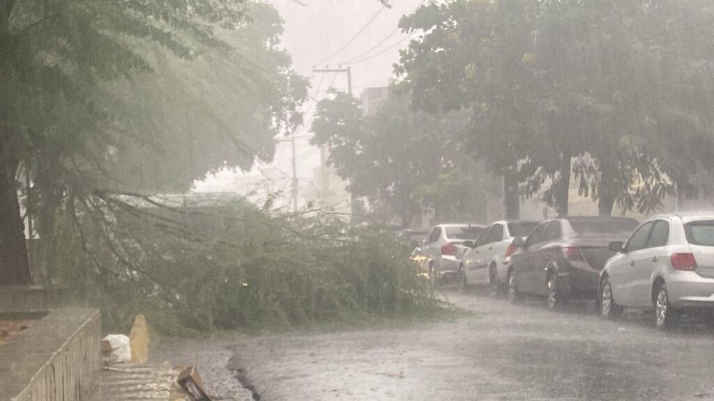 Confira a previsão do tempo para esta semana com chuvas em Serra Talhada 1 chuva
