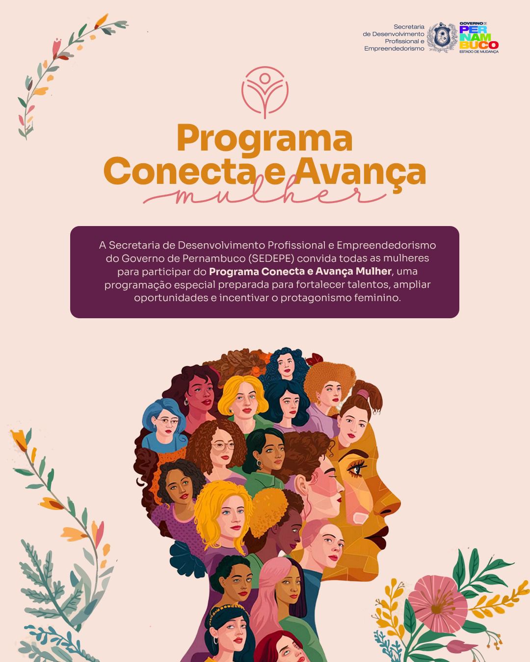 Governo de PE lança Programa Conecta e Avança Mulher