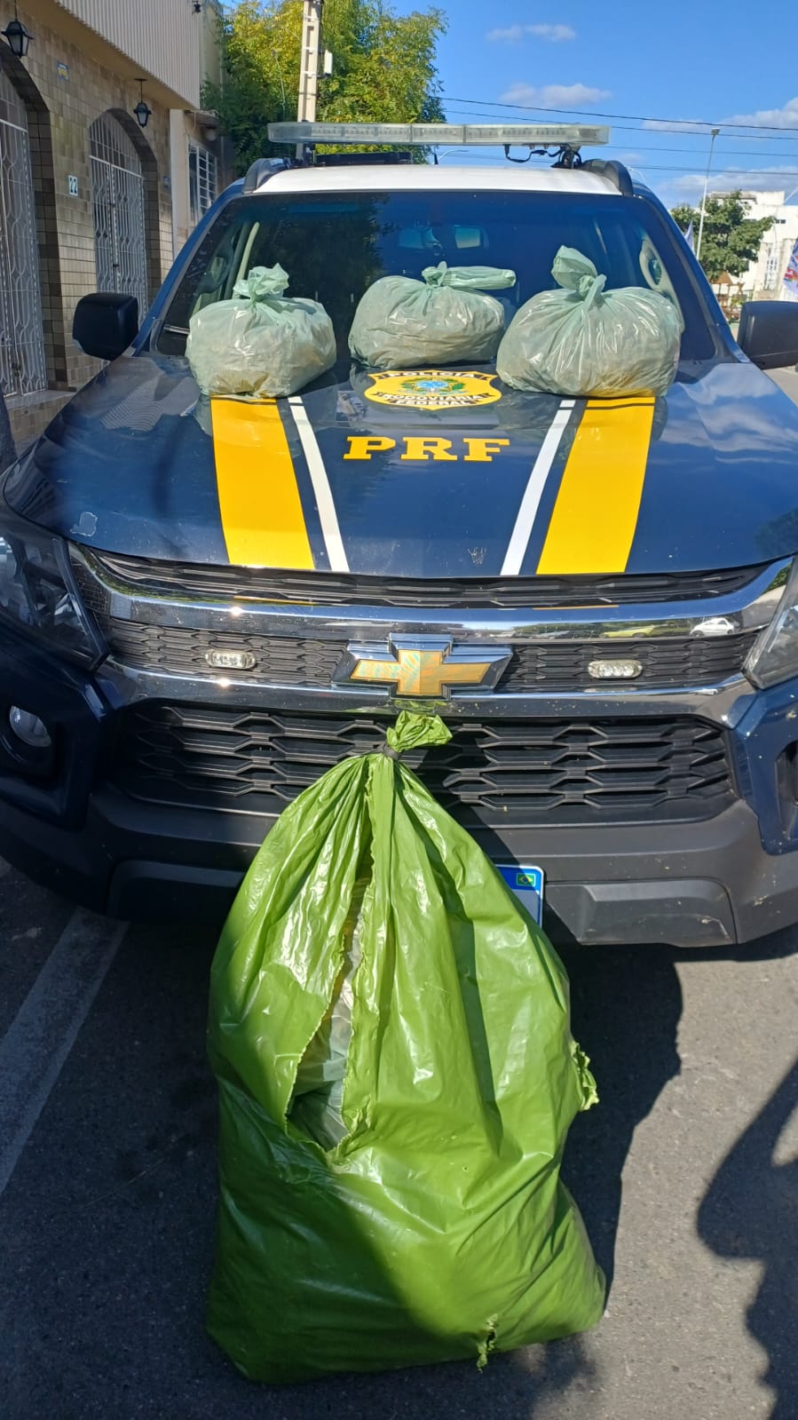 PRF apreende 10 kg de supermaconha em Sertânia
