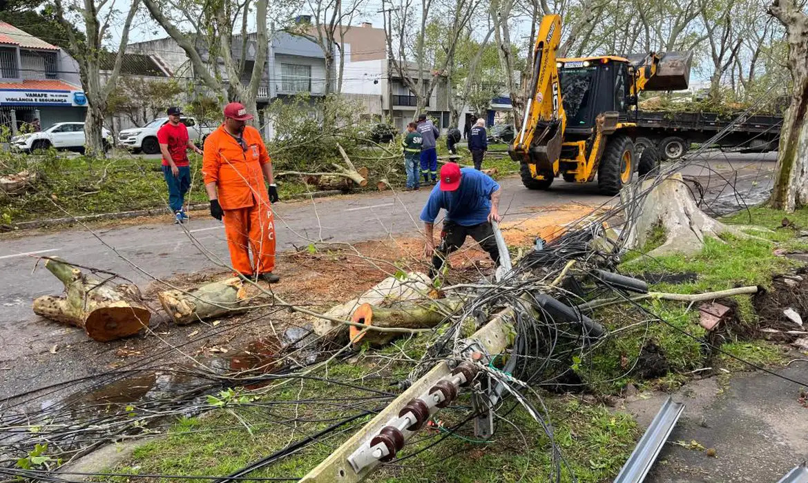 Temporais no RS deixam mais de 700 pessoas desabrigadas 1 Evento climático com um forte vendaval que chegou até 89 km/h provocou a queda de árvores (PREF. RS/ DIVULGAÇÃO)