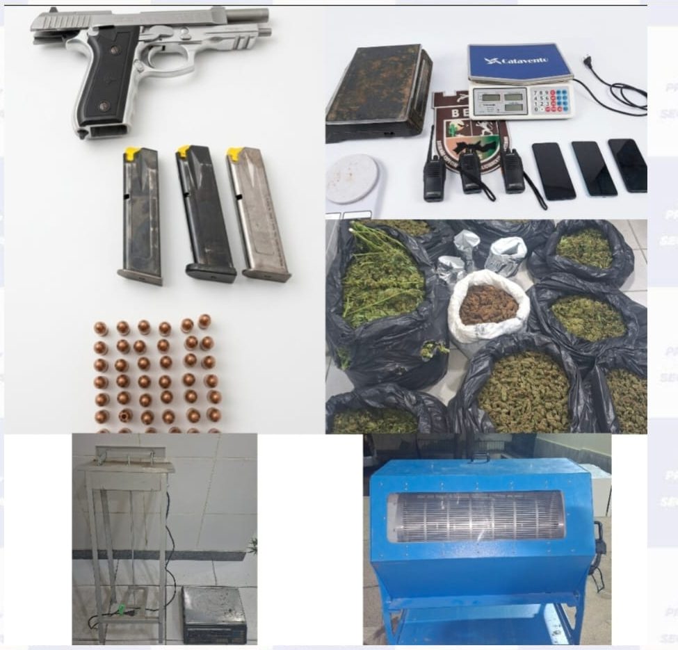 PMPE apreende quase 70kg de maconha e 7 pessoas 1 Foto: Divulgação/PMPE