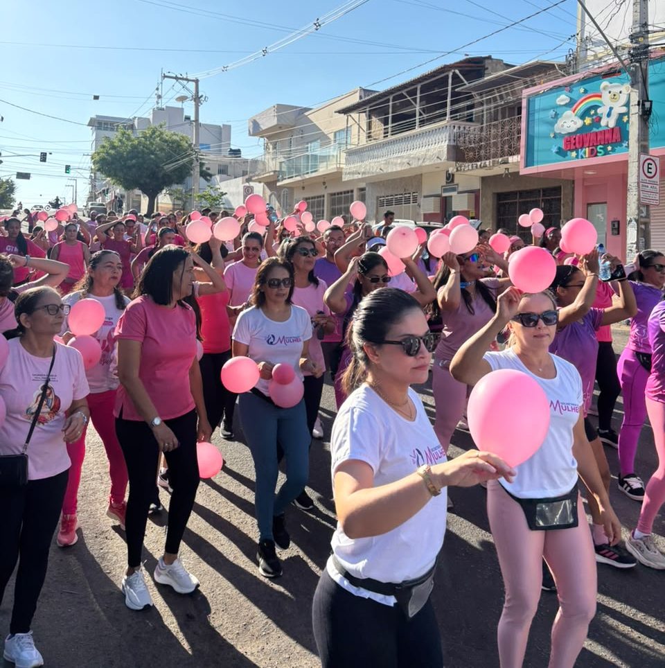 6ª Caminhada do Amparo Amigo em ST foi um sucesso e entidade faz apelo